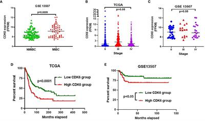 CDK6 Immunophenotype Implicates Potential Therapeutic Application of CDK4/6 Inhibitors in Urothelial Carcinoma